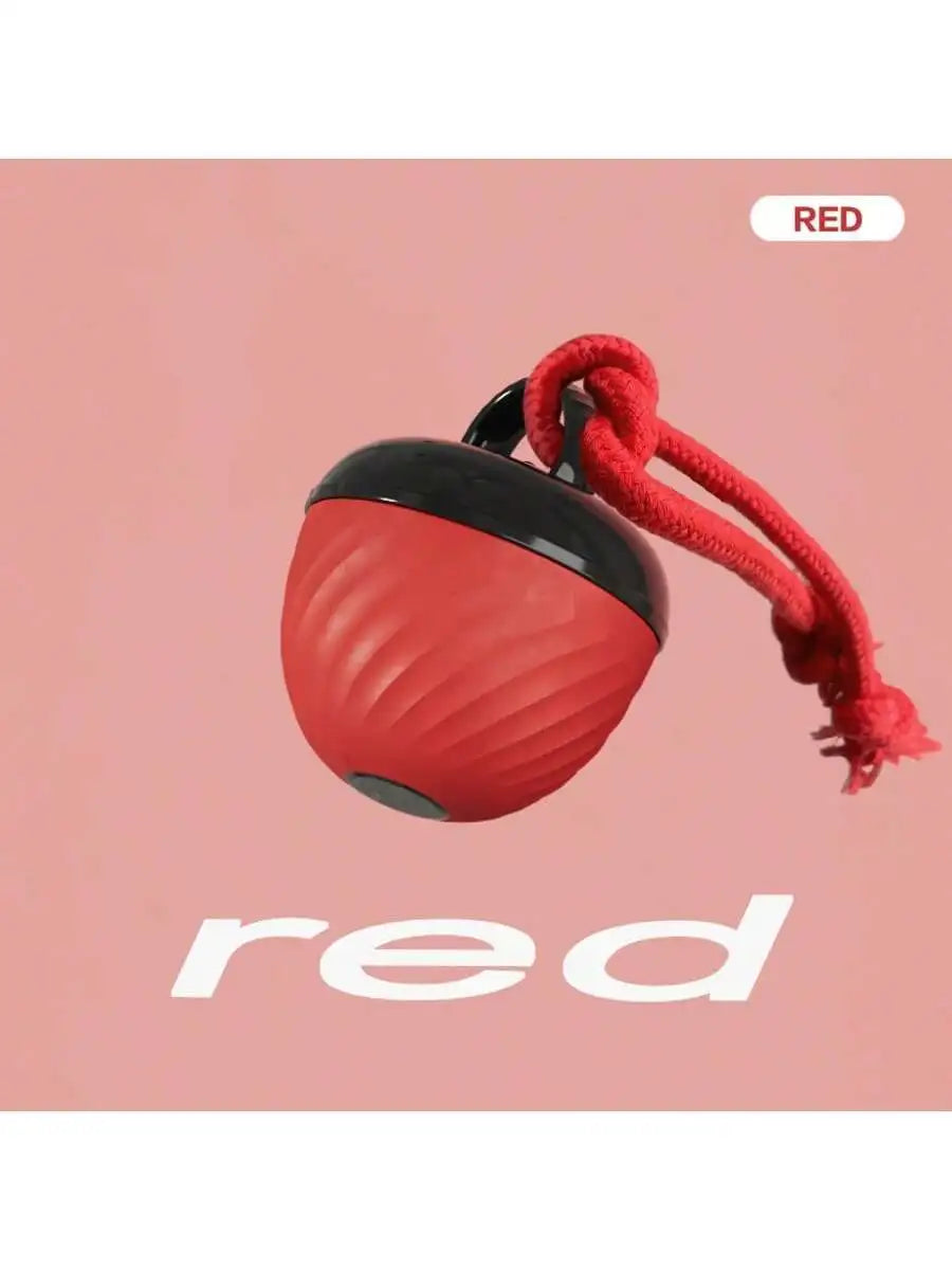 Electric Waterproof Jumping Ball Toy For Dogs, Chew Resistant Self Entertaining Interactive Pet Toy