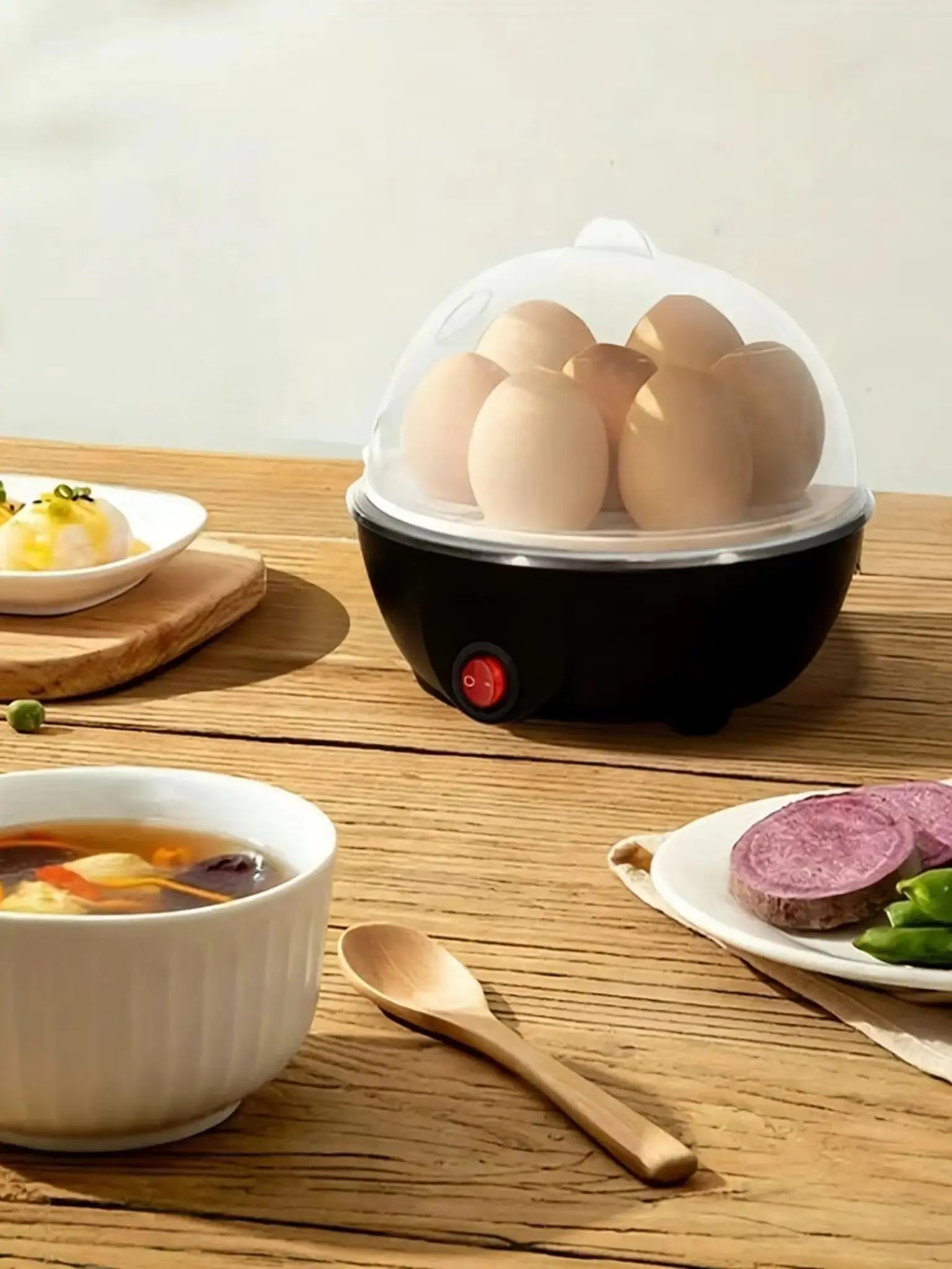 EggPro™ Rapid Boiler