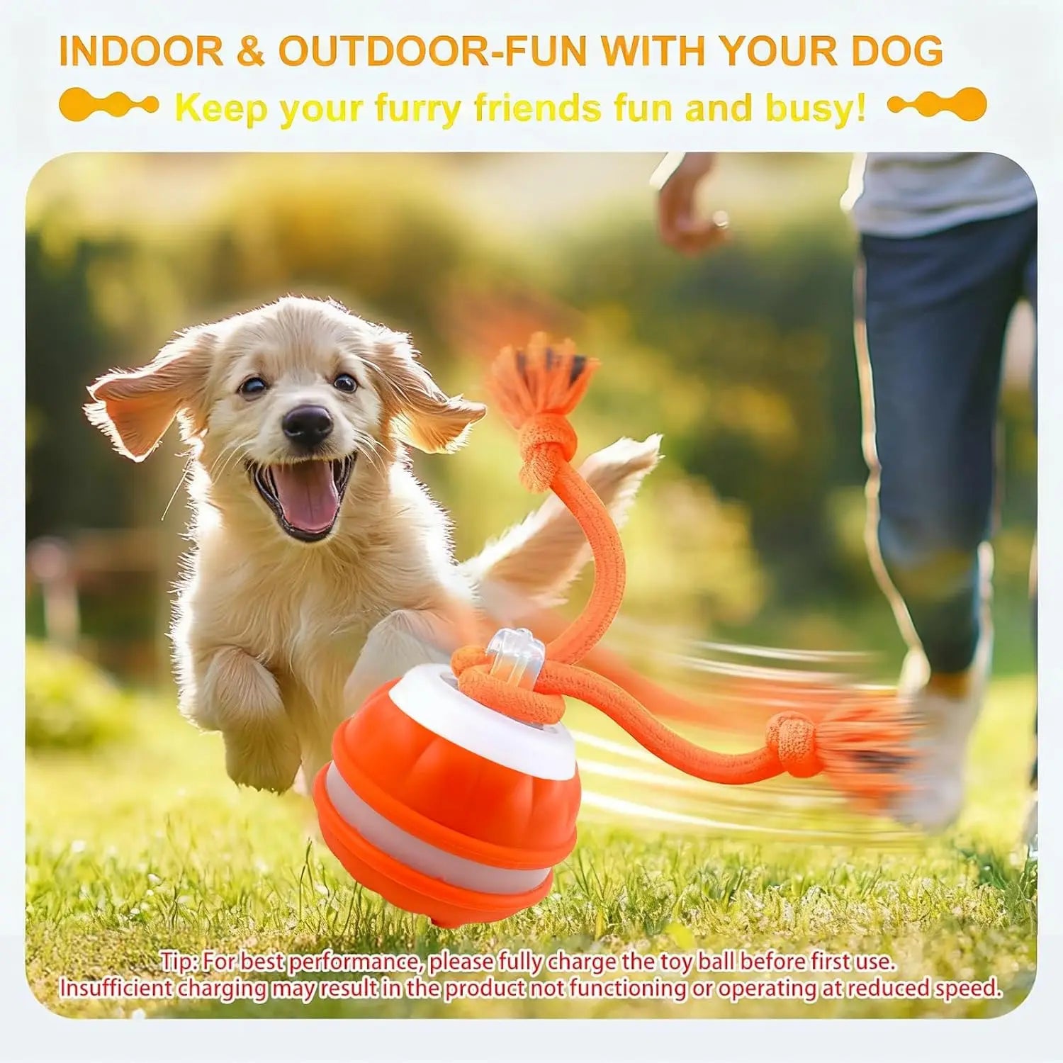 Happy dog playing with Dog Toy Ball with Rope Electronic outdoors, promoting fun and exercise for pets.