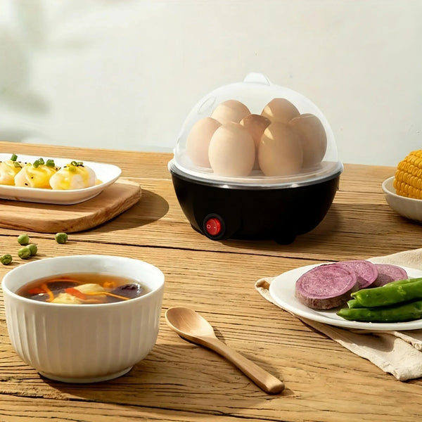 EggPro™ Rapid Boiler