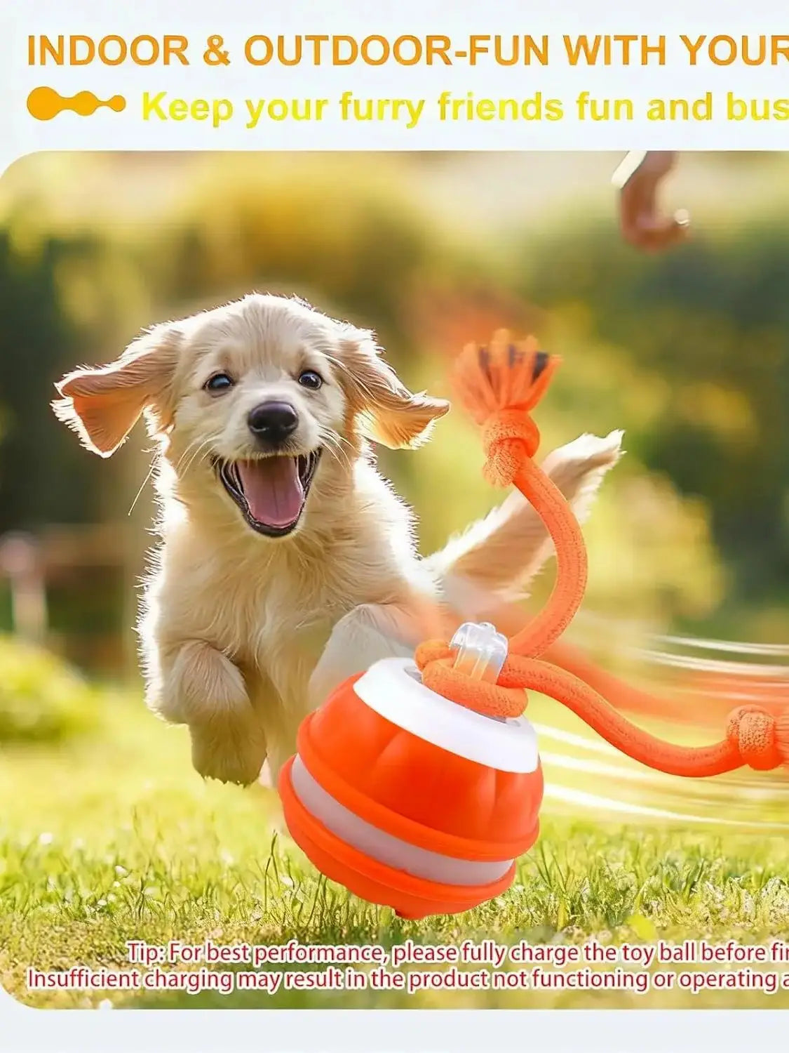 Dog playing with Dog Toy Ball with Rope Electronic, enjoying outdoor fun and exercise.